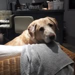 Peter Ord - @ord.peter - Instagram