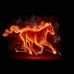 Peter Ordas - Facebook