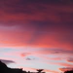 Peter Ortiz - @peter.ortiz.94 - Instagram