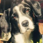 Peter Ostermann - @peterostermann2811 - Instagram