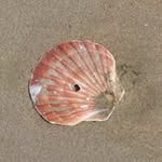 Peter Ostermann - @taunus76 - Instagram