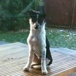 Peter Oswald - @peos77 - Instagram
