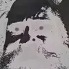 Peteroswald - @user45249903403352 - TikTok