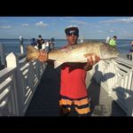 Peter Palazzotto - @peterpalazzotto7455 - Instagram