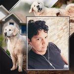 Peter Palma - @peter.palma.754 - Instagram