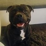 Peter Panek - @peter_panek_ - Instagram