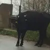 Peter Panatta - @peter.panatta - TikTok