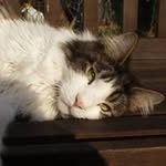 Peter Parr - @pparr61 - Instagram