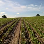 Peter Parr - @soil_fertility_solutions - Instagram