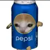 peter parrot 🦜 - @peterparrot3 - TikTok