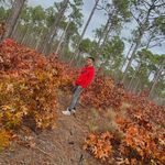 Peter Pascua - @petmatrix - Instagram