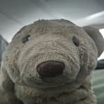 Peter - @peterpatrolsparis - Instagram