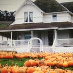Great Peter Pumpkin Patch - @petalumapumpkin - Instagram