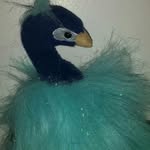 Peter Peacock - @peterda_peacock - Instagram