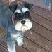 Peter Peck - Facebook