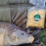 Peter Pedersen - @petey_fishing - Instagram