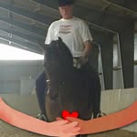 Peter Pedersen - @peter.pedersen.3975 - Instagram