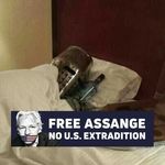 Peter James Pelletier - @peter.pelletier.5 - Instagram