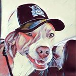 Peter Perrotta - @lilpete0620 - Instagram
