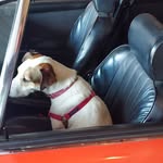 Peter Perry - @peterperry911113 - Instagram
