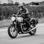 Peter Perry - @peter.perry.796 - Instagram