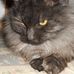 Peter Persson - Facebook