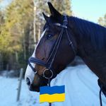 Peter Persson - @persson6582 - Instagram