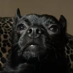 Peter - @peter.petrie - Instagram