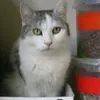 Peter Pfaff706 - @user343797039 - TikTok