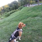 Peter Pfaff - Facebook