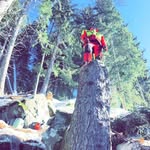 Peter Pflug - @peter.pflug.984 - Instagram