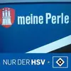 peterpflug2 - @peterpflug2 - TikTok