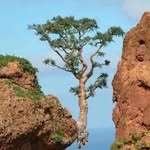 Peter Phuc - @peter_phuc - Instagram