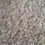 Peter Pitcher - @peter_the_peedo122 - Instagram