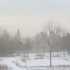 peterpitcher449 - @peterpitcher449 - TikTok