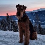 Peter Platz - @p.platz2208 - Instagram