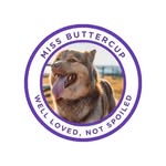 Peter D. Plourde - @onevestllc - Instagram