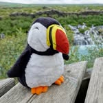 Peter Pol Puffin - @peterpolpuffin - Instagram