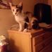 Brenda Polhemus - Facebook