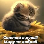 Петер Полищук - @peter.polishchuk - Instagram