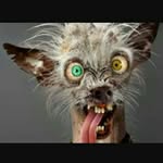 Peter Pollard - @peter.pollard.9 - Instagram