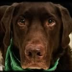 Peter Pollard - @peter.pollard.94064 - Instagram