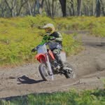 Peter Pollard - @peterpollard1 - Instagram