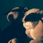Пётр Алещенко - @peter_portal - Instagram