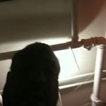 Peter Porter - @peterporterporter - Instagram