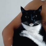 Peter Potter - @_peterpotter - Instagram