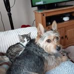 Peter Prentice - Facebook