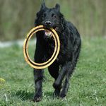 Peter-Uwe Preuß - @peteruwepreuss - Instagram