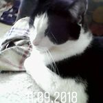 Peter Prinz - @peter.prinz.332 - Instagram