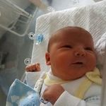 Peter Prinz - @prinz9505 - Instagram
